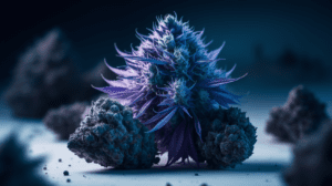 Blue Dream Growing Tips: Indoor vs Outdoor Cultivation Guide